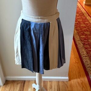 Endless Rose Cream and Blue Skater Skirt